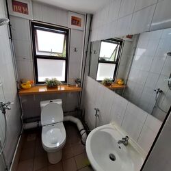 Havelock Road (D3), Condominium #599044701